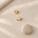 Turtle Children's Hoop Earrings, Pair