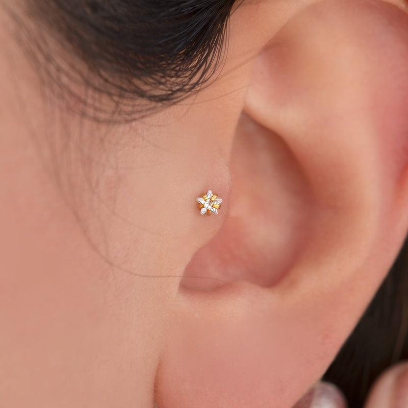 Dainty Star Cartilage Earring for Helix & Tragus in Gold or Silver, Single