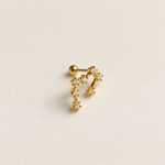 Zodiac constellation stud earring - product detail