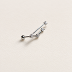Zodiac constellation stud earring - product detail
