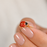 Ladybug Cartilage Hoop Earring for Helix & Tragus, 18G, 7mm, Gold, Single