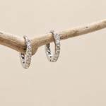 Angled view of two silver-tone hoops with clear stones suspended from a pale branch.