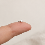 Bone Star Nose Stud in Gold or Silver, Stainless Steel, Pair - Silver variant